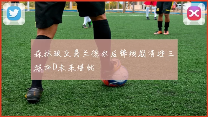 森林狼交易兰德尔后锋线崩溃迎三球评D未来堪忧